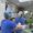 Trồng răng cho trẻ em an toàn tại nha khoa Trang Dung