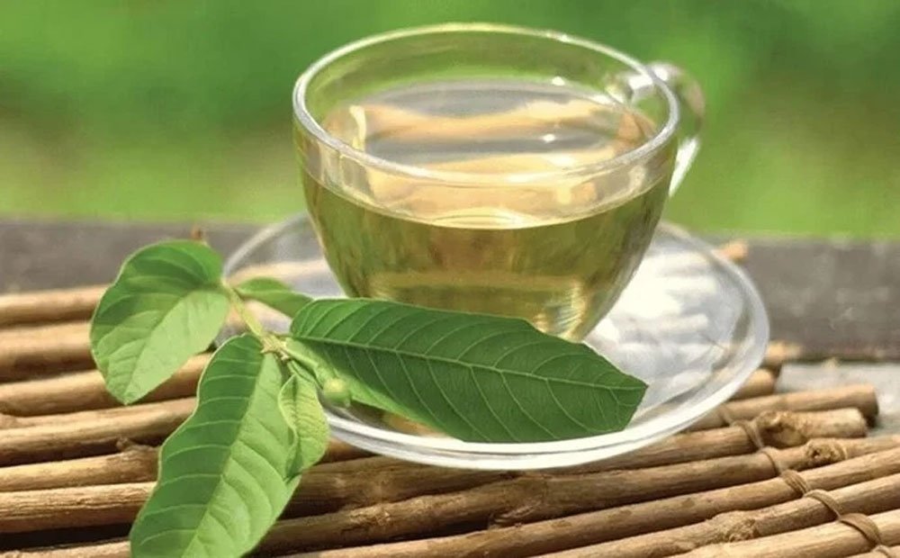 Uống nước lá ổi có tác dụng gì? 7 công dụng bất ngờ từ thuốc dân gian Uống nước lá ổi có tác dụng gì