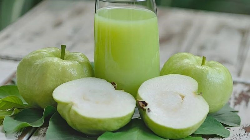 Uống nước lá ổi có tác dụng gì? Giải mã những lợi ích bất ngờ Uống nước lá ổi có tác dụng gì