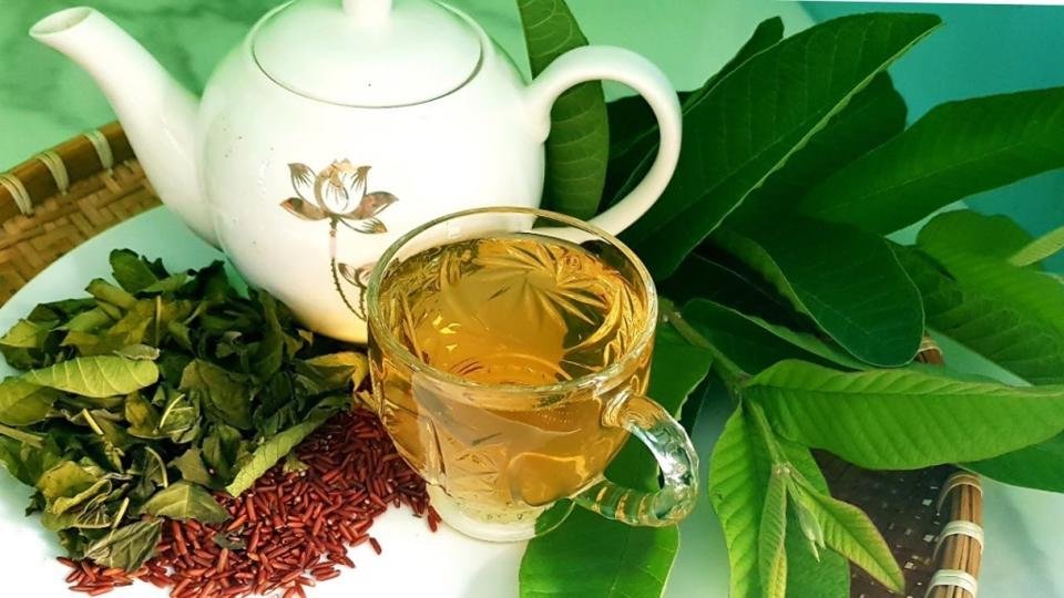 Uống nước lá ổi có tác dụng gì? 7 công dụng bất ngờ từ thuốc dân gian Uống nước lá ổi có tác dụng gì