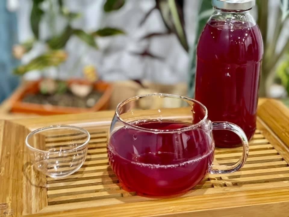 Uống nước lá tía tô có tác dụng gì? Bí quyết chăm sóc sức khỏe Uống nước lá tía tô có tác dụng gì