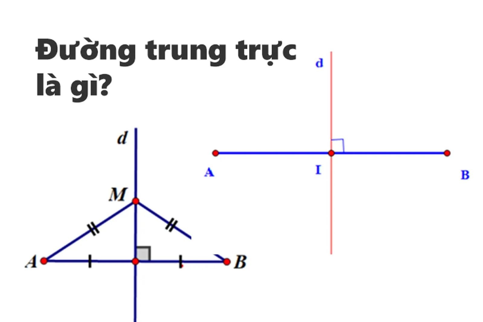Đường trung trực là gì