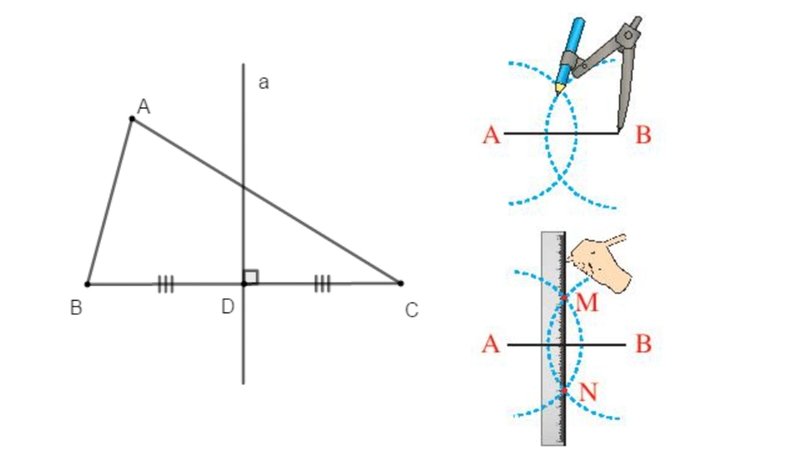 Đường Trung Trực Là Gì? Khái Niệm, Tính Chất, Cách Vẽ Và Ứng Dụng đường trung trực là gì