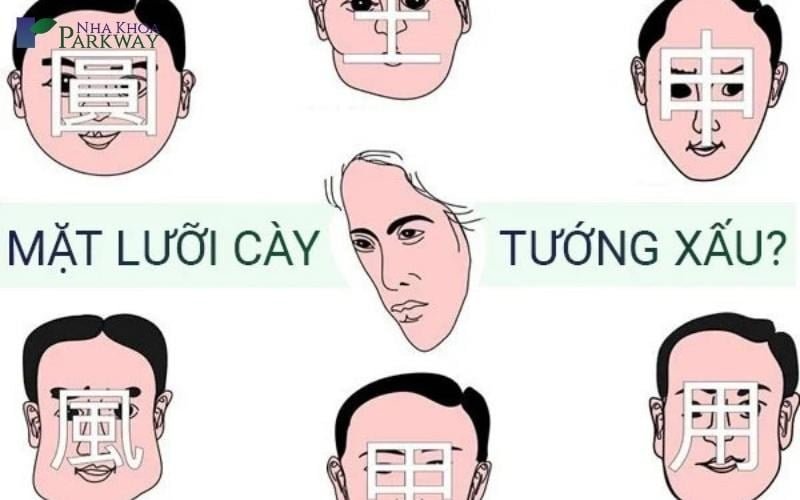 Mặt lưỡi cày là gì