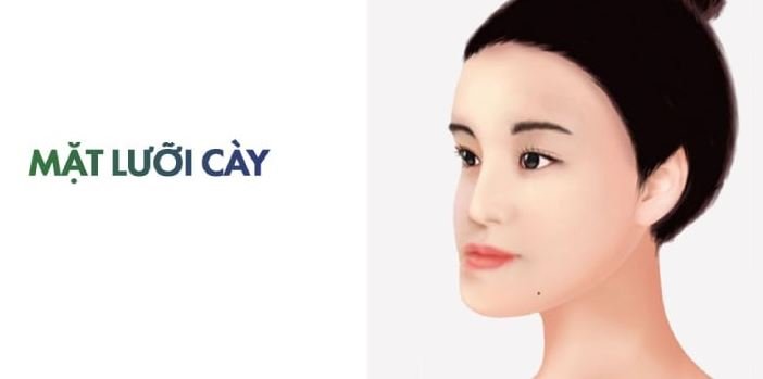 Mặt lưỡi cày là gì
